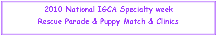 Text Box: 2010 National IGCA Specialty weekRescue Parade & Puppy Match & Clinics
